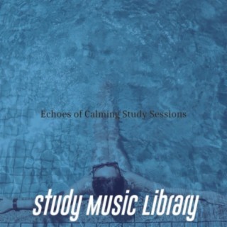 Echoes of Calming Study Sessions