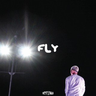 FLY ft. St. Paulos lyrics | Boomplay Music