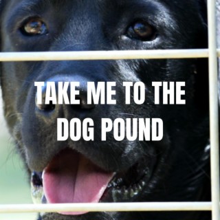 Take Me to the Dog Pound lyrics | Boomplay Music