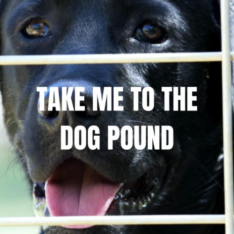 Take Me to the Dog Pound