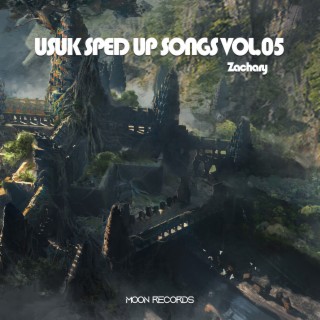USUK SPED UP SONGS VOL.05