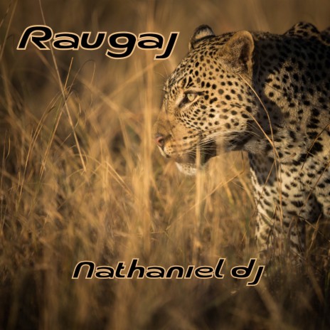 Raugaj | Boomplay Music