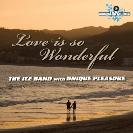 Love Is So Wonderful ft. Unique Pleasure | Boomplay Music