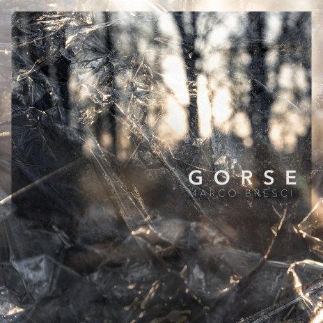 Gorse | Boomplay Music