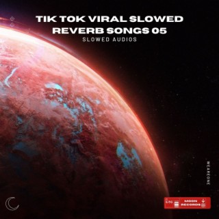 Tik Tok Viral Slowed Reverb Songs 05