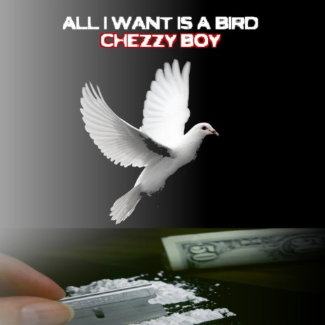 All I Want Is A Bird | Boomplay Music