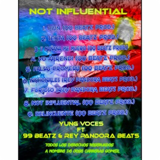 Not Influential