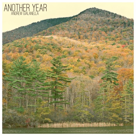Another Year | Boomplay Music