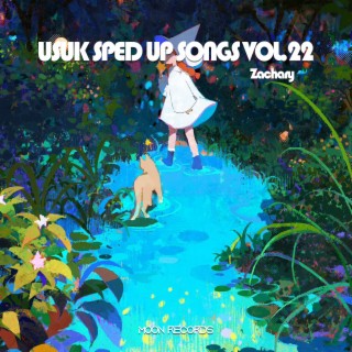 USUK SPED UP SONGS VOL.22