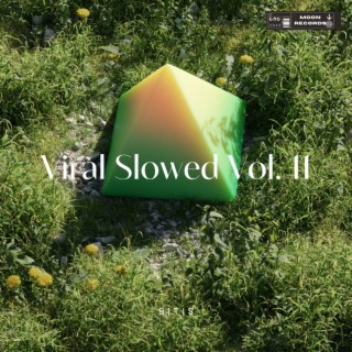 Viral Slowed Vol. 11