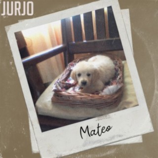 mateo