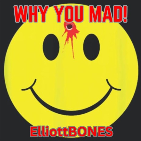 WHY YOU MAD! | Boomplay Music
