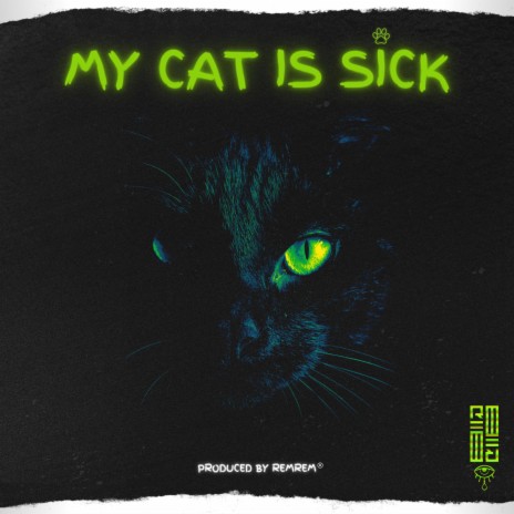 My Cat is Sick | Boomplay Music