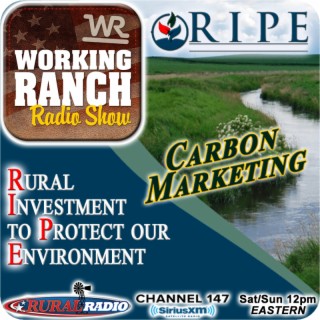 Ep 68: RIPE100... A plan to provide a Carbon Market.