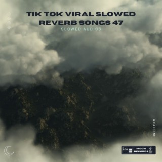 Tik Tok Viral Slowed Reverb Songs 47