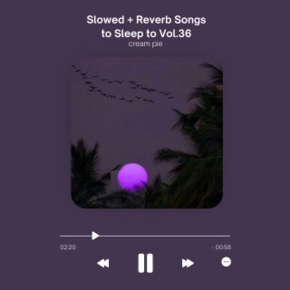 Slowed + Reverb Songs to Sleep to Vol.36