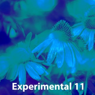 Experimental 11