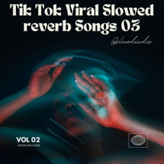 Tik Tok Viral Slowed Reverb Songs 03