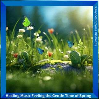 Healing Music Feeling the Gentle Time of Spring