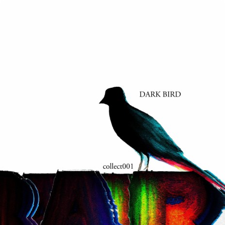 Dark Bird | Boomplay Music