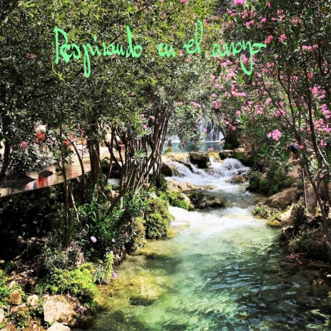 Respirando en el Arroyo | Boomplay Music