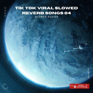 Tik Tok Viral Slowed Reverb Songs 04