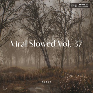 Viral Slowed Vol. 37