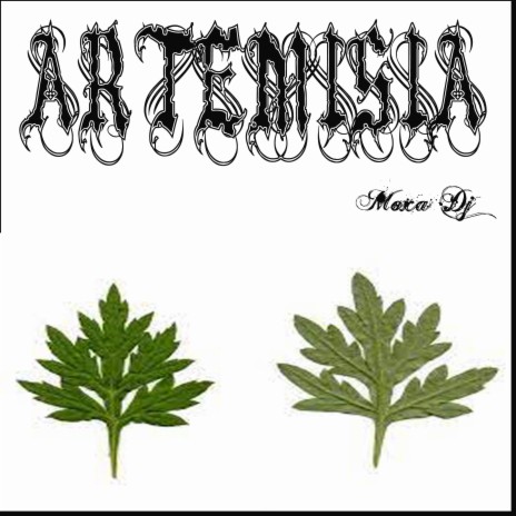 Artemisia ft. Moxa Dj