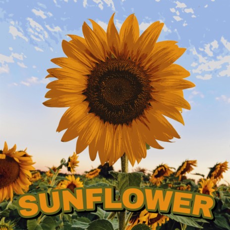 Sunflower | Boomplay Music