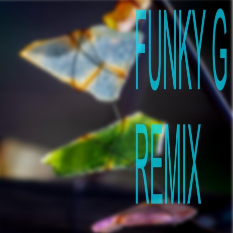 Funky G (Remix Version) | Boomplay Music