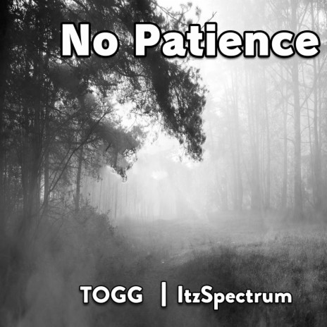 No Patience ft. ItzSpectrum | Boomplay Music