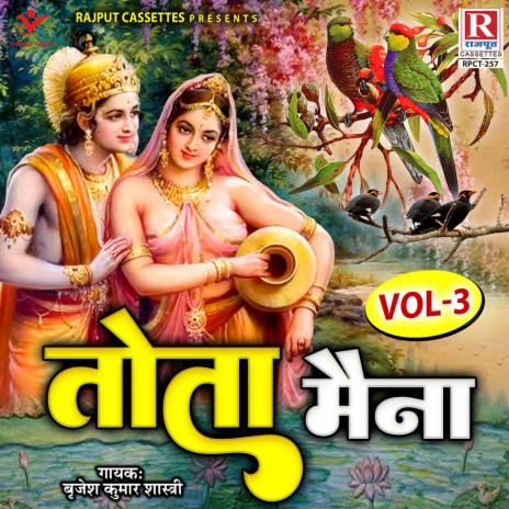 Tota Maina Vol 3 | Boomplay Music