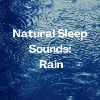 Natural Sleep Sounds: Rain