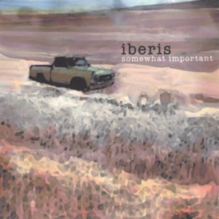 Iberis