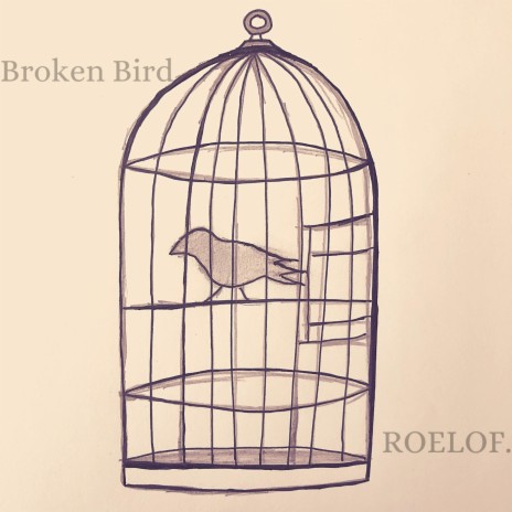 Broken Bird | Boomplay Music