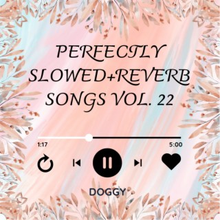 Perfectly Slowed+Reverb Songs Vol. 22