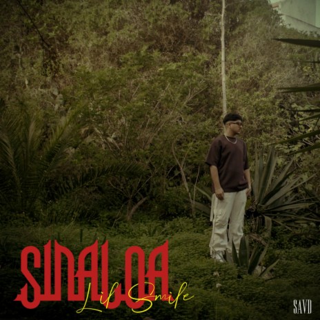 Sinaloa | Boomplay Music