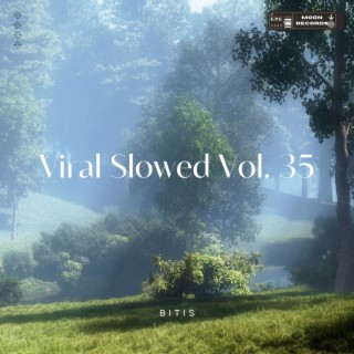 Viral Slowed Vol. 35