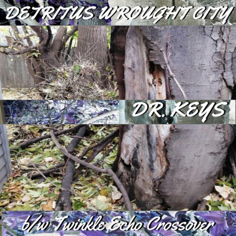 Detritus Wrought City | Boomplay Music