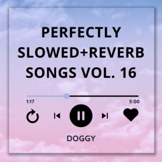 Perfectly Slowed+Reverb Songs Vol. 16