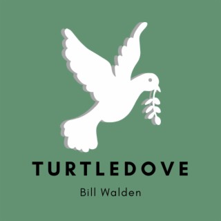 Turtledove