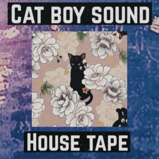 House Tape