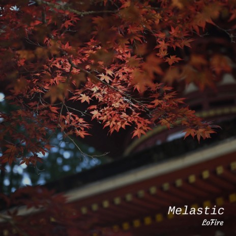 Melastic ft. Venue For Life