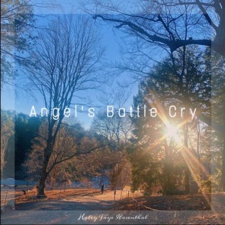 Angel's Battle Cry | Boomplay Music