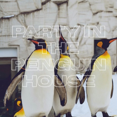 Party In The Penguin House | Boomplay Music
