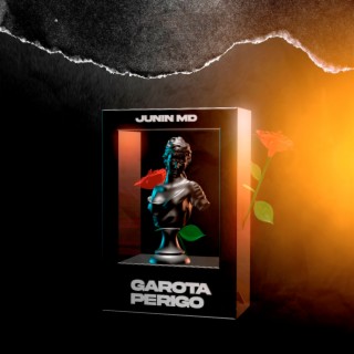 Garota Perigo