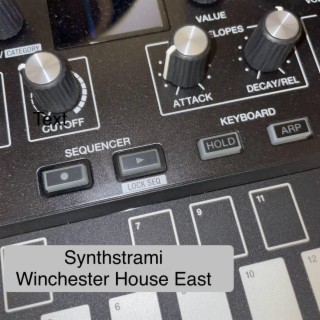 Synthstrami