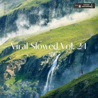Viral Slowed Vol. 24