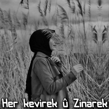 Her kevirek û Zinarek Kurdish Trap | Boomplay Music