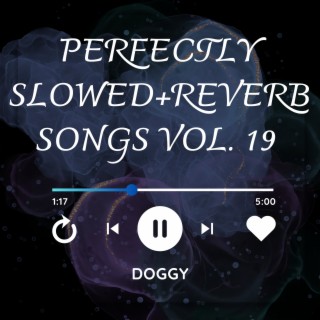 Perfectly Slowed+Reverb Songs Vol. 19